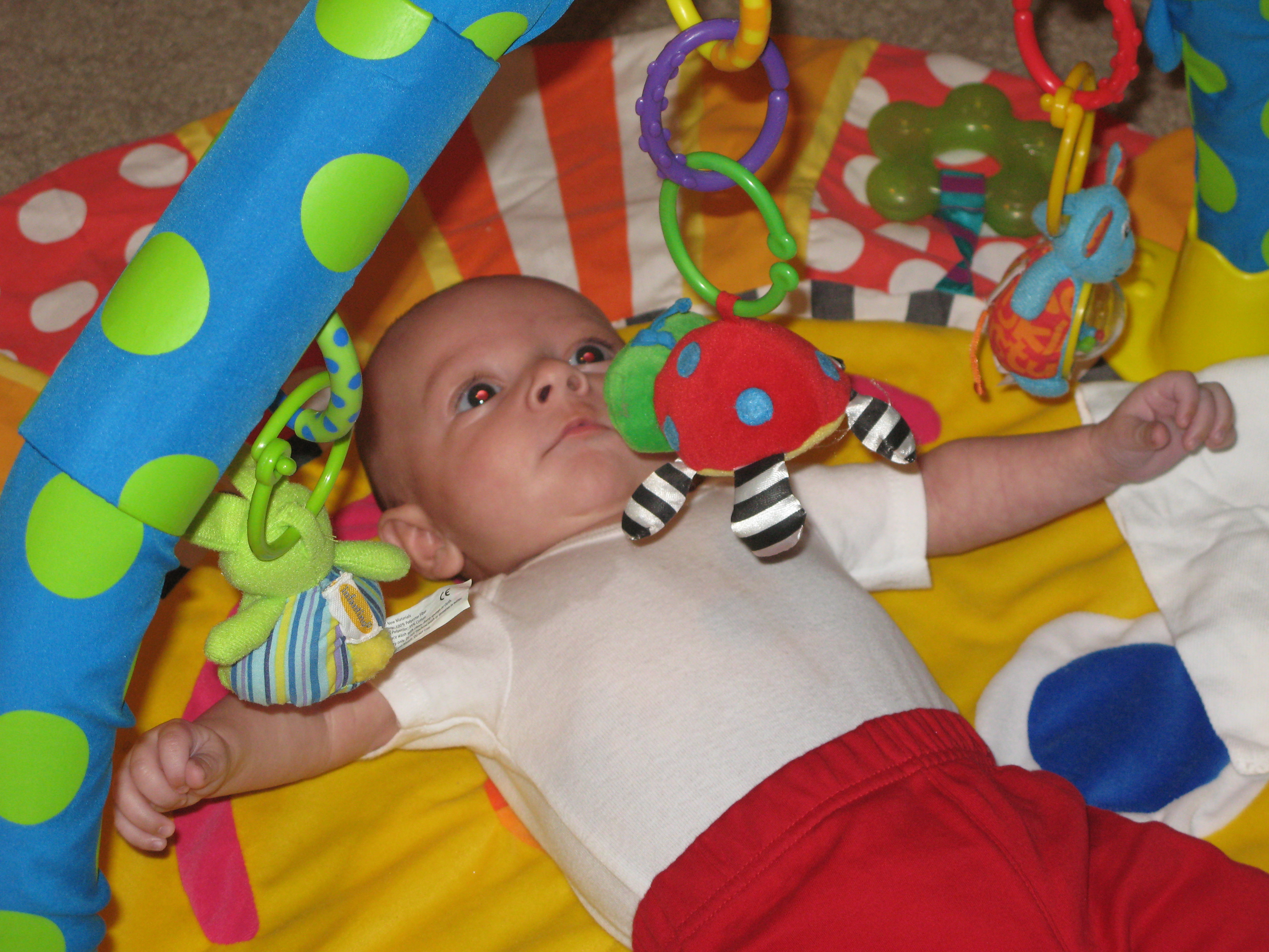 Owen played in a play gym while we opened presents